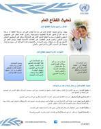 تحديث القطاع العام: عمل الاسكوا في العراق، 2013