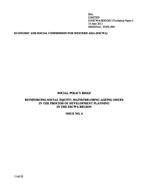 Reinforcing Social Equity: Mainstreaming Ageing Issues in the Process of Development Planning in the ESCWA Region, Social Policy Brief, No. 4 cover