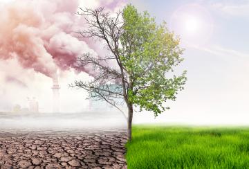 climate change image