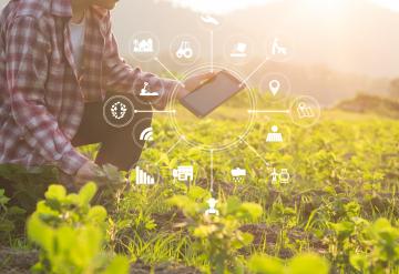 Land and Food Security