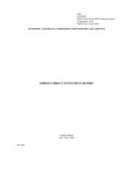 تقرير الاستثمار الأجنبي المباشر 2008 غلاف (بالإنكليذية)